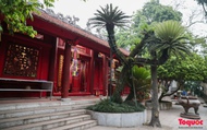 Chiêm ngưỡng cây vạn tuế hơn 800 năm tuổi - Báu vật xanh của Di tích lịch sử Đền Hùng