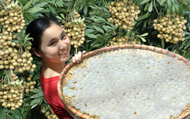 Nhãn lồng Hưng Yên