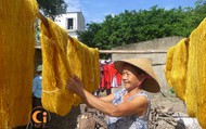 Cổ Chất - Làng tơ nổi tiếng đất Nam Định