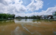 TP Huế: Nước hồ Trái Tim nổi váng bất thường sau bão