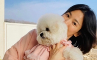 Song Hye Kyo khoe mặt mộc ở tuổi 40, quả không hổ danh là tường thành nhan sắc xứ Hàn