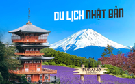Nhật Bản mở cửa đón khách du lịch Việt trở lại, xem ngay các thủ tục và địa điểm nhất định phải ghé khi đến Nhật vào mùa hè