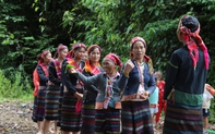 Quảng Bình: Độc đáo "Lễ hội Trỉa" của người Bru – Vân Kiều