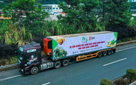 Báo Thái Lan đánh giá cao sức cạnh tranh của sầu riêng Việt Nam