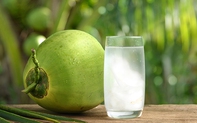 Sự thật chuyện uống nước dừa giúp lọc sạch phổi và 3 điều quan trọng cần biết khi uống kẻo hại thân