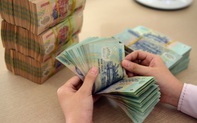 Những công việc ở Việt Nam có mức lương lên hơn 300 triệu đồng/tháng