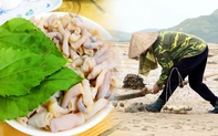 Thưởng thức gỏi “vàng ròng” hiếm có nơi biển Minh Châu