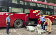 Phát hiện nửa tấn lòng lợn bốc mùi hôi thối trong xe khách dừng đỗ ven đường