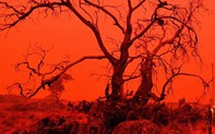Australia "chật vật" trước bài toán ứng phó với biến đổi khí hậu