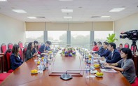 Netflix đầu tư 3,5 triệu USD làm phim giới thiệu vẻ đẹp và văn hóa Việt Nam
