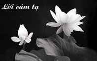 Lời cảm ơn