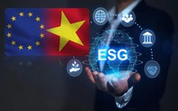 EU và Việt Nam nỗ lực phát triển chuỗi cung ứng bền vững