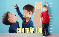 Bố mẹ có chiều cao lý tưởng con vẫn có nguy cơ bị lùn: Chuyên gia chỉ ra cách nhận biết trẻ thấp lùn trong tương lai