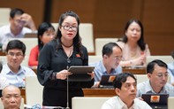 ĐBQH đề nghị xem xét thấu đáo việc đào tạo, tránh tình trạng thiếu hụt nguồn nhân lực ngành văn hóa nghệ thuật