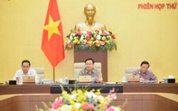 Tương lai sẽ hạ dần tuổi hưởng trợ cấp hưu trí xã hội xuống bằng với tuổi nghỉ hưu