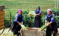 Quán triệt sâu sắc Chỉ thị 05 của Ban Bí thư để thực hiện hiệu quả Chương trình MTQG Giảm nghèo bền vững