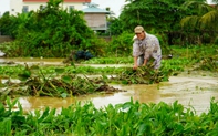 Khánh Hòa, Phú Yên có nguy cơ xảy ra lũ quét, sạt lở đất