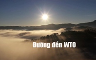 Phim tài liệu: Đường đến WTO