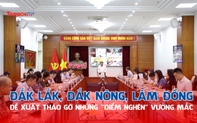 Đắk Lắk, Đắk Nông, Lâm Đồng đề xuất tháo gỡ những "điểm nghẽn" vướng mắc, thúc đẩy phát triển kinh tế - xã hội