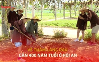 Về thăm làng rau gần 400 năm tuổi ở Hội An