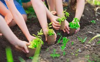 Ngành Giáo dục tổ chức hiệu quả phong trào “Tết trồng cây đời đời nhớ ơn Bác Hồ” Xuân Giáp Thìn 2024
