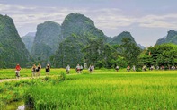 4 tháng đầu năm, khách quốc tế đến Việt Nam đạt trên 6 triệu lượt
