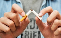 TP.HCM giảm tỷ lệ tiếp xúc thụ động với khói thuốc lá tại khách sạn xuống dưới 50%