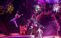 “Ninja Magic Show”: Sự kết hợp ấn tượng giữa xiếc Việt Nam và ảo thuật Nhật Bản