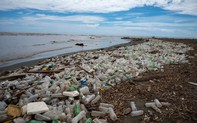 Thế giới tiếp cận công nghệ xử lý rác thải nhựa gây ô nhiễm môi trường