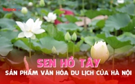Sen Hồ Tây – Sản phẩm văn hóa du lịch của Hà Nội