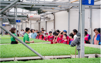  "Hành trình nông sản sạch" – những trải nghiệm thú vị cho học sinh tiểu học 