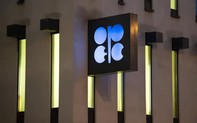 OPEC+ gia hạn cắt giảm sản lượng dầu thô đến năm 2025