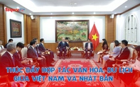 Thúc đẩy hợp tác văn hóa, du lịch giữa Việt Nam và Nhật Bản