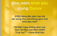 Dulux AI filter – Trợ thủ đắc lực giúp ngôi nhà bừng sắc đón Xuân