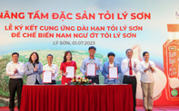 Nam Ngư chung tay quảng bá đặc sản tỏi Lý Sơn