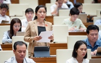 Đại biểu Quốc hội kỳ vọng chính sách đất đai cho bảo tồn văn hóa 