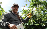 Lâm Đồng: Thu hút đầu tư cho du lịch, hướng tới du lịch nông nghiệp, du lịch cộng đồng
