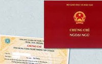 Cho phép liên kết tổ chức thi đánh giá năng lực ngoại ngữ theo Khung 6 bậc của Việt Nam