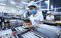 World Bank: "Việt Nam là một câu chuyện phát triển thành công"