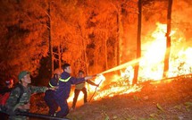 Cháy rừng liên tiếp: Cần phải "dập" những ngọn lửa được khởi phát từ sự bất cẩn, thiếu ý thức của con người