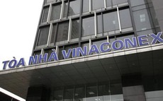 Vinaconex (VCG) vượt 50% mục tiêu lợi nhuận ngay trong quý I/2024