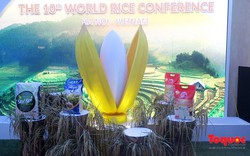 Gạo Việt thâm nhập gần 160 quốc gia trên thế giới