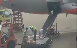 Hành lý, hàng hóa của hành khách Jetstar Pacific bị nhân viên sân bay  “quăng, ném” không thương tiếc