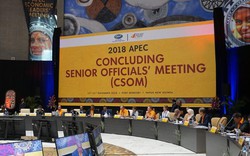 Hội nghị CSOM mở đầu Tuần lễ cấp cao APEC 2018