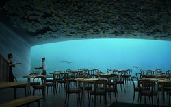 Nhà hàng dưới nước lớn nhất thế giới đã được đặt chỗ kín đến tận mùa hè sang năm dù… chưa mở cửa