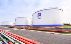 Phó Thủ tướng Vương Đình Huệ chỉ đạo giải quyết vướng mắc, khiếu nại của doanh nghiệp liên quan đến C/O xăng dầu nhập khẩu