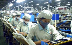 Diễn đàn hợp tác kinh tế châu Á diễn ra tại Bình Dương: Cơ hội cho doanh nghiệp Việt Nam 