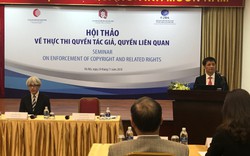 Nhật Bản chia sẻ kinh nghiệm thực thi quyền tác giả, quyền liên quan với Việt Nam