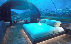 Khách sạn dưới biển Maldives có giá hơn 1 tỷ VNĐ/đêm
