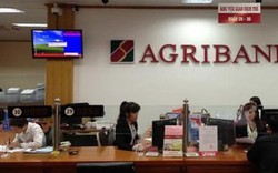 Điều tra nguyên nhân khiến Giám đốc phòng giao dịch  của Ngân hàng Agribank tử vong 